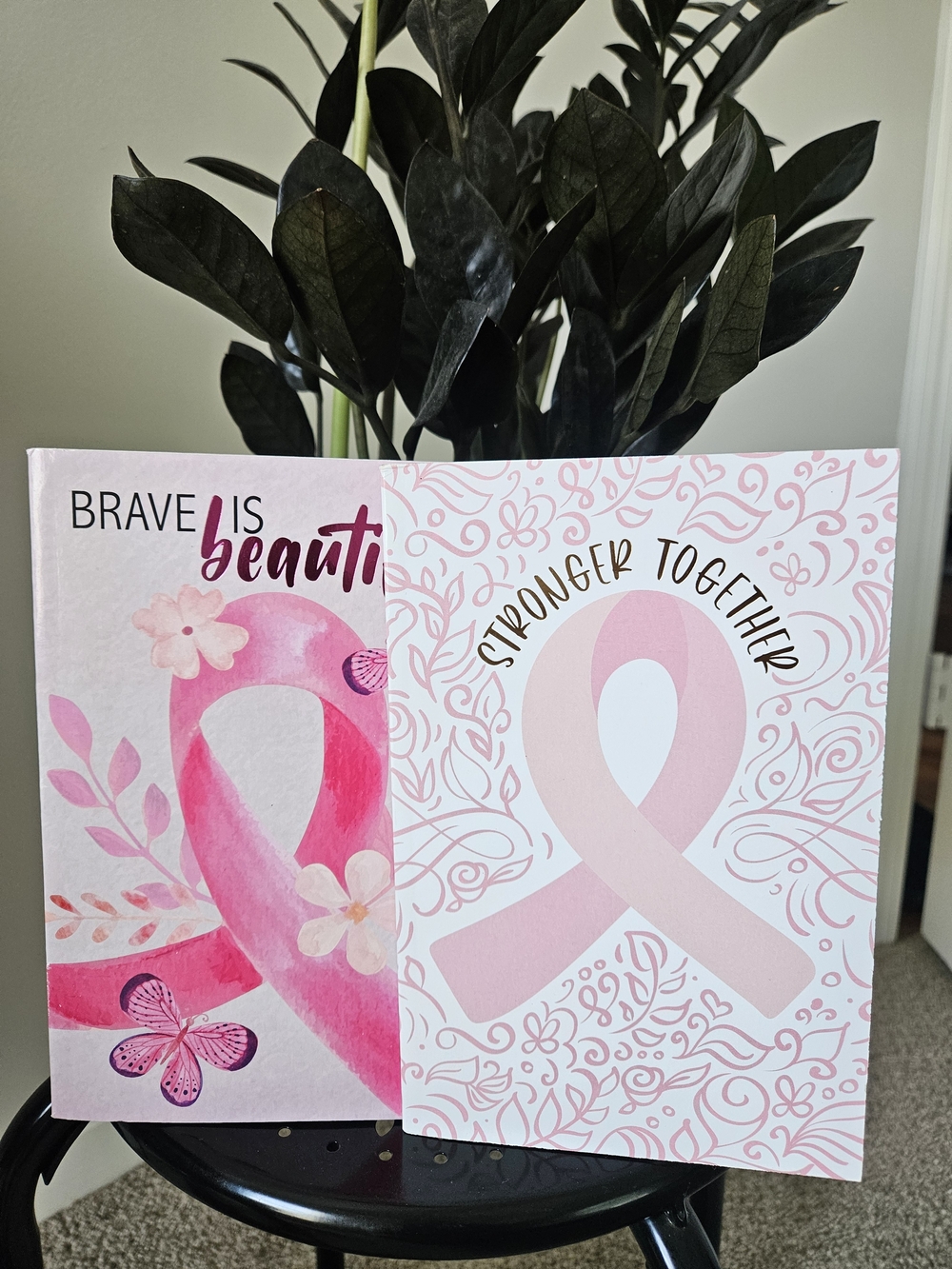 Breast Cancer Awareness Pink Ribbon Journal Set Of 2